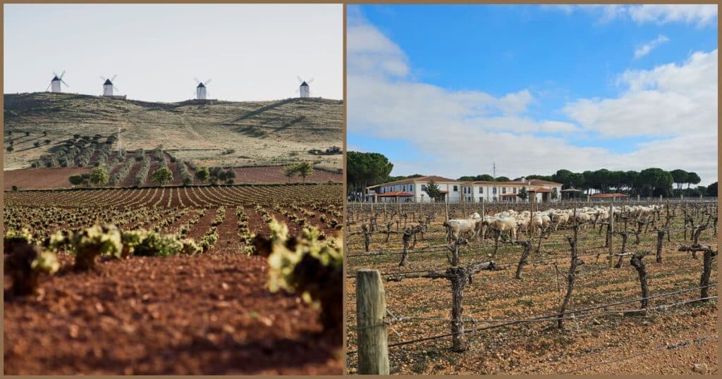 vacaciones en el pueblo